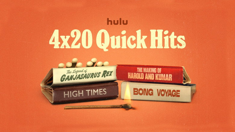 4X20: