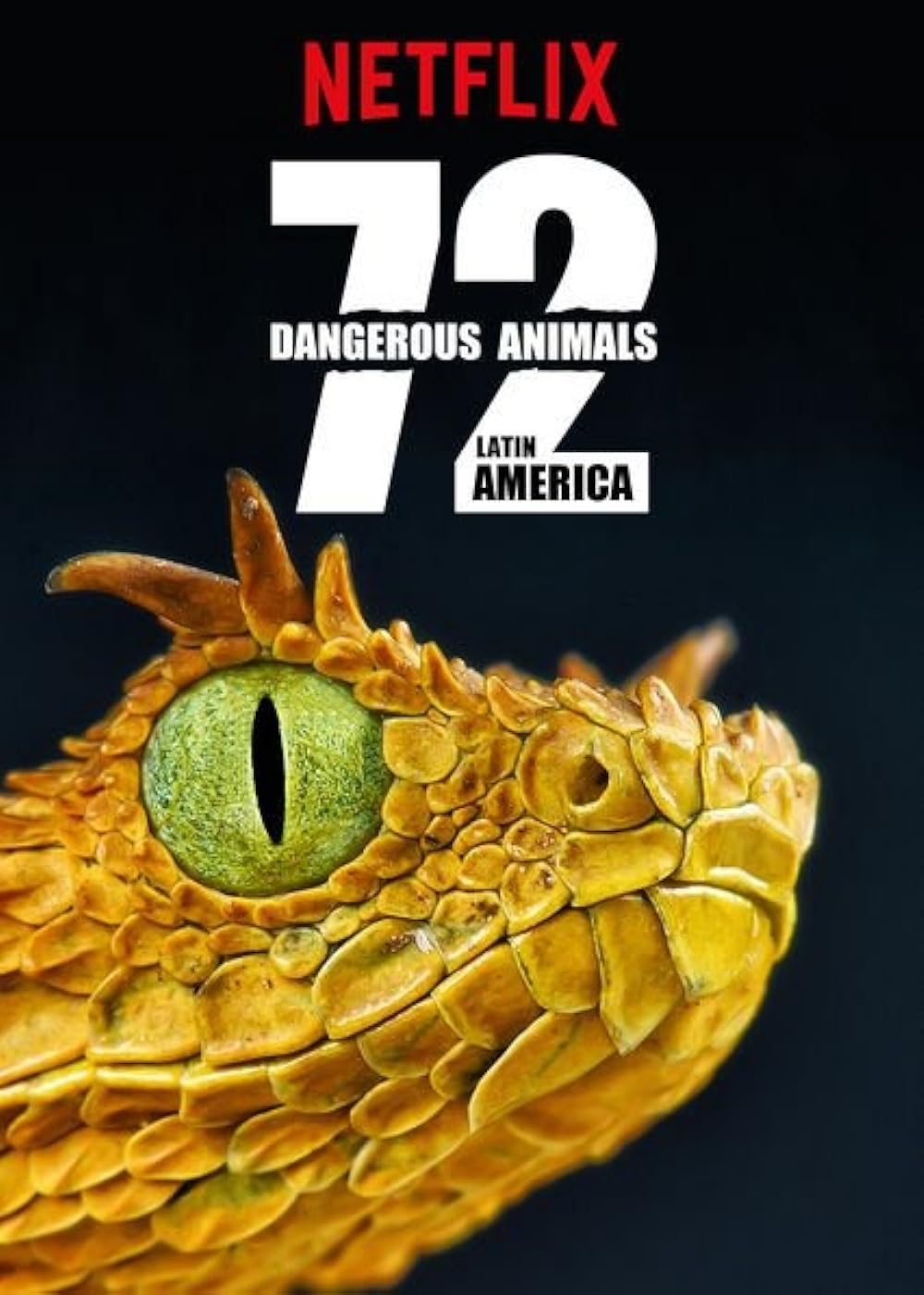 72 72