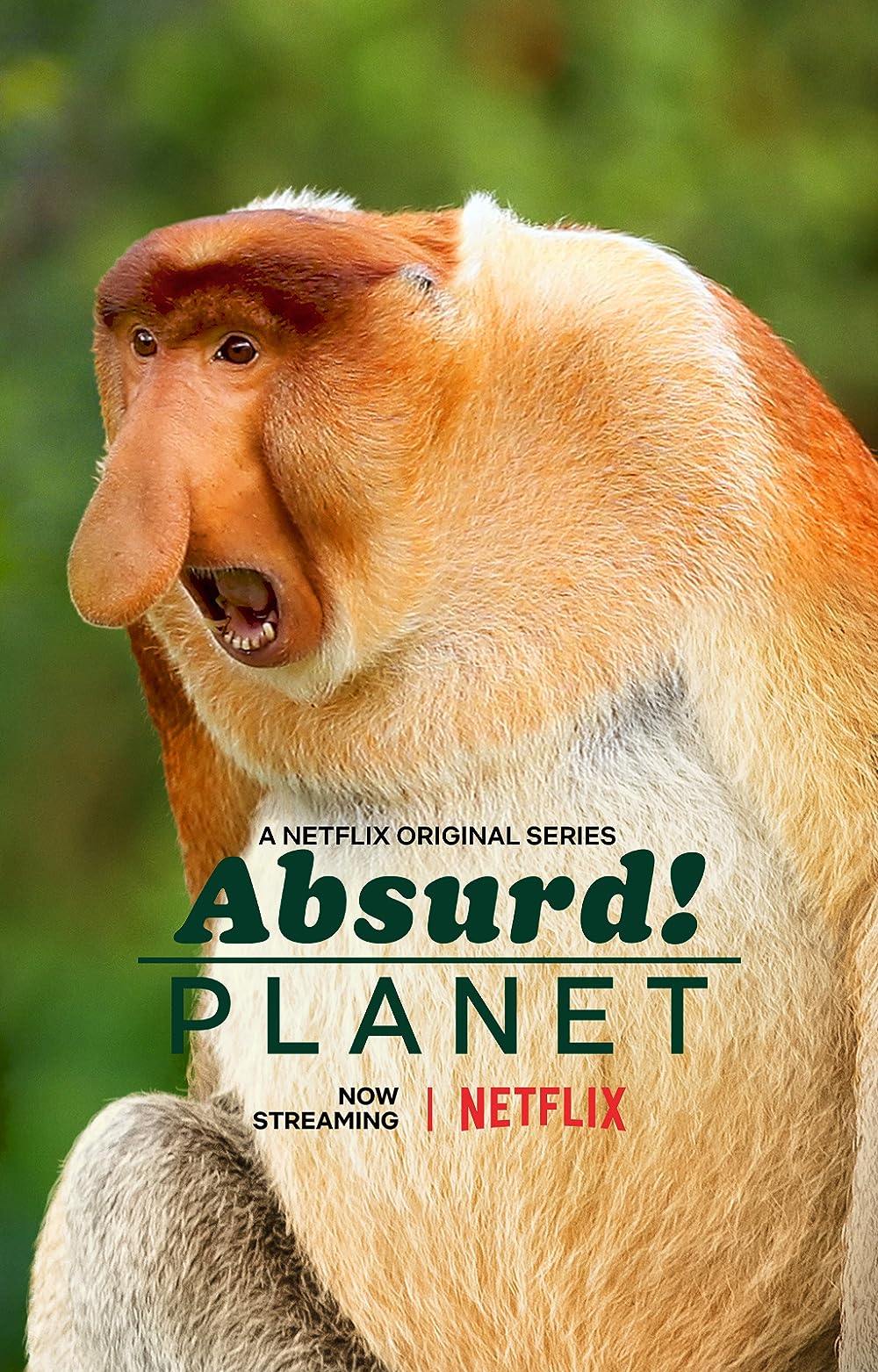 Absurd Absurd