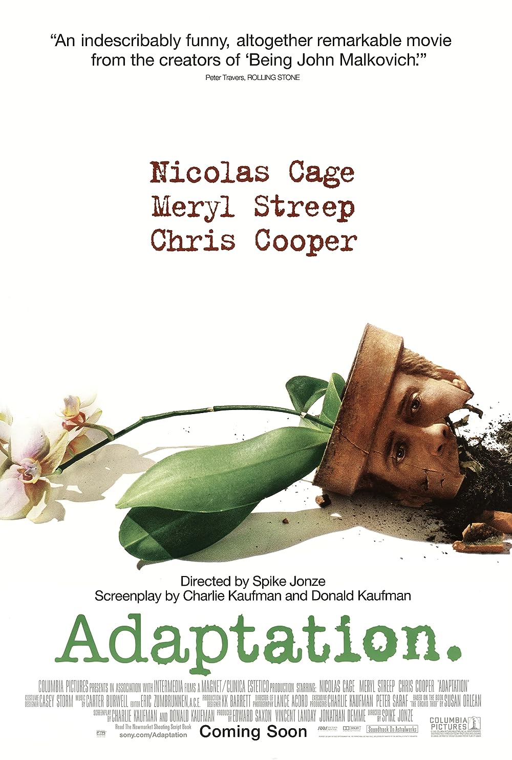 Adaptation. Adaptation.