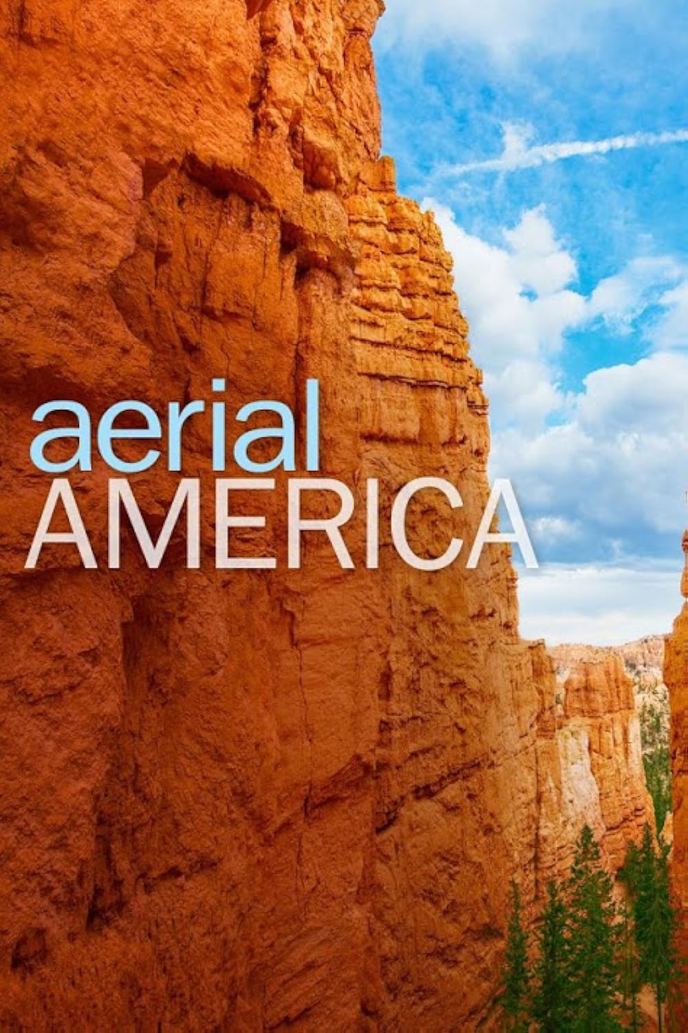 Aerial