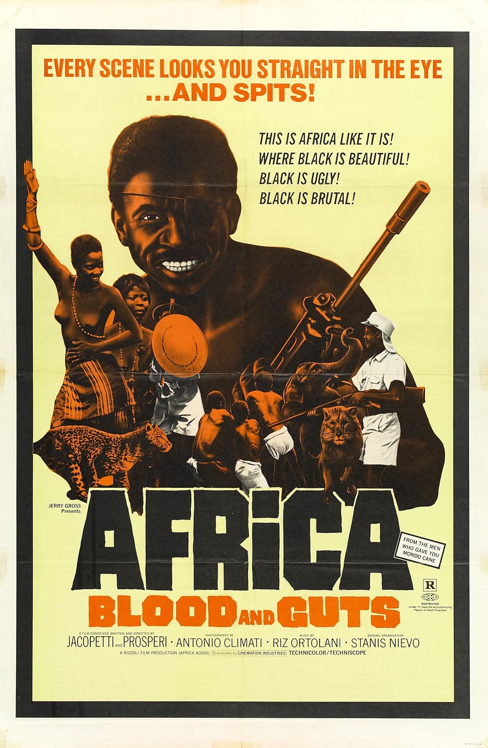 Africa: Africa:
