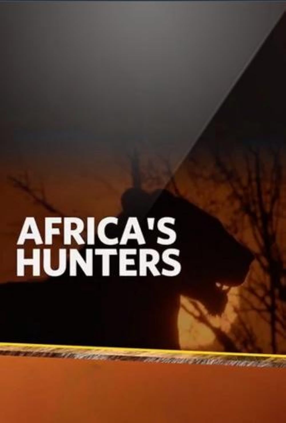 Africa's Africa's