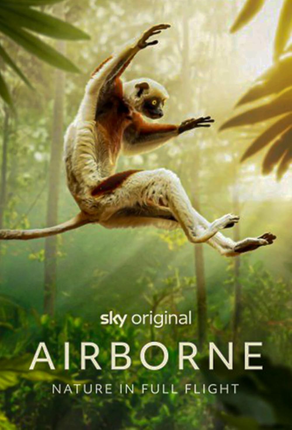 Airborne Airborne