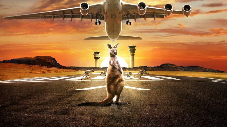 Airport Airport