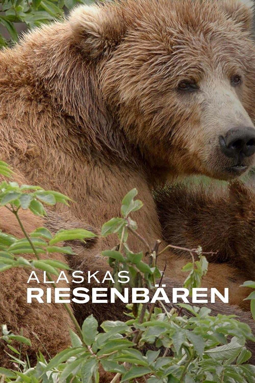 Alaska's