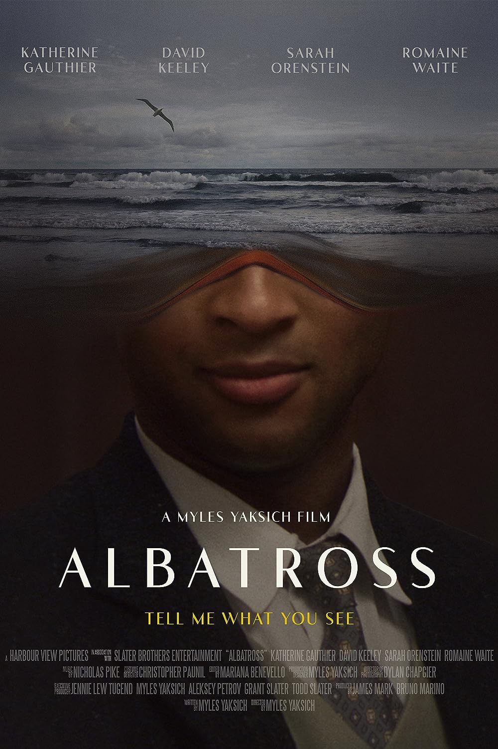 Albatross Albatross