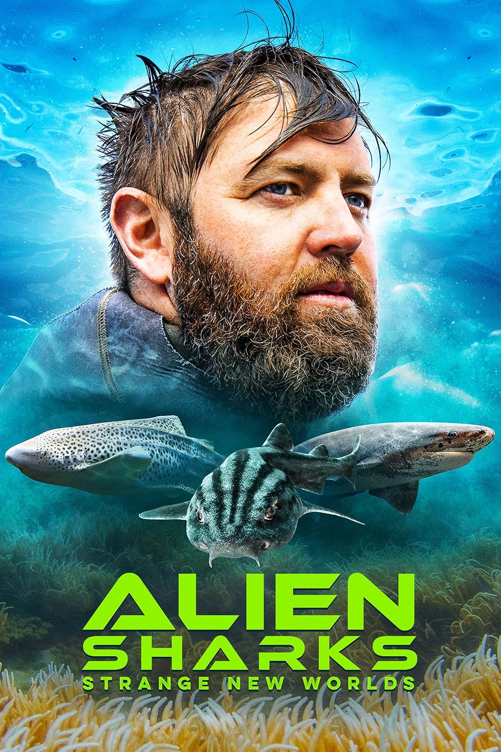 Alien Alien