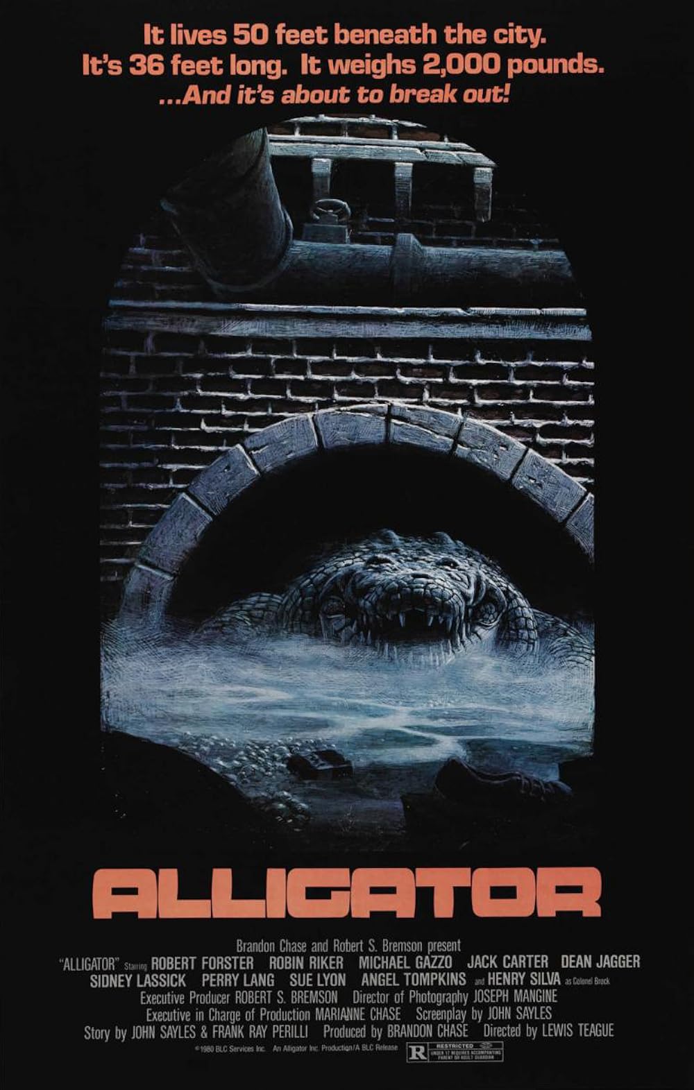 Alligator Alligator