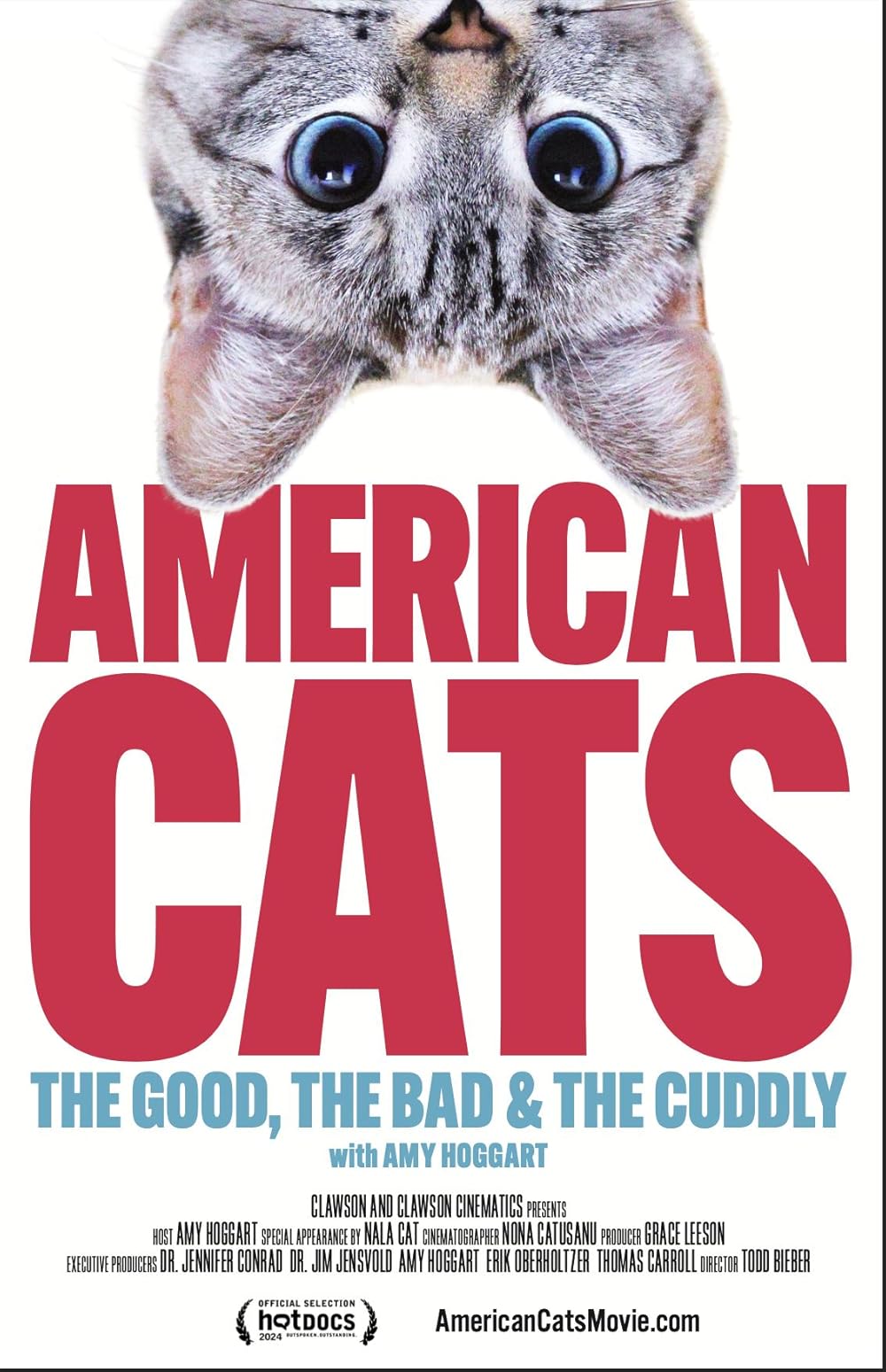 American American