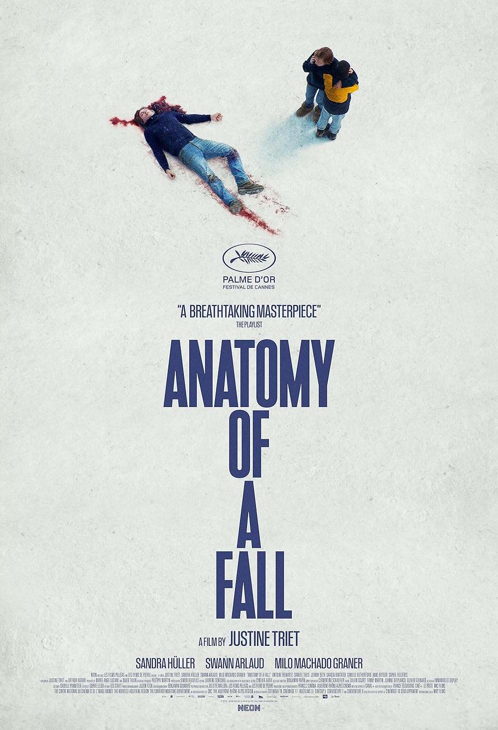 Anatomy Anatomy