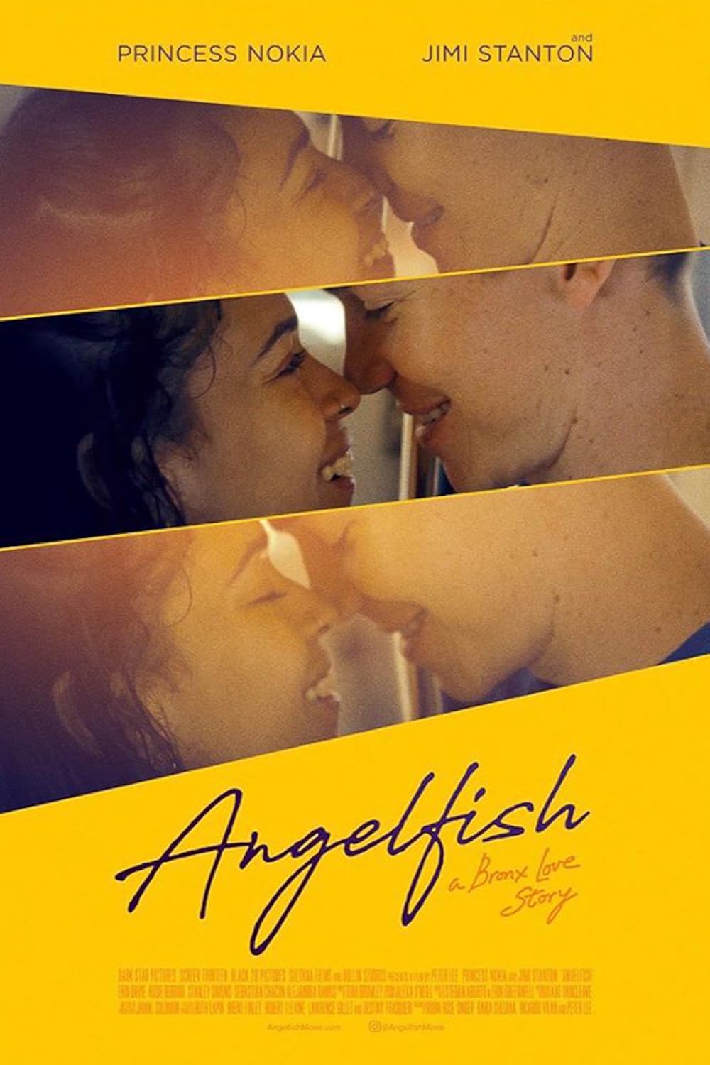 Angelfish Angelfish