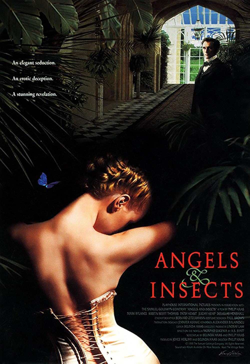 Angels Angels