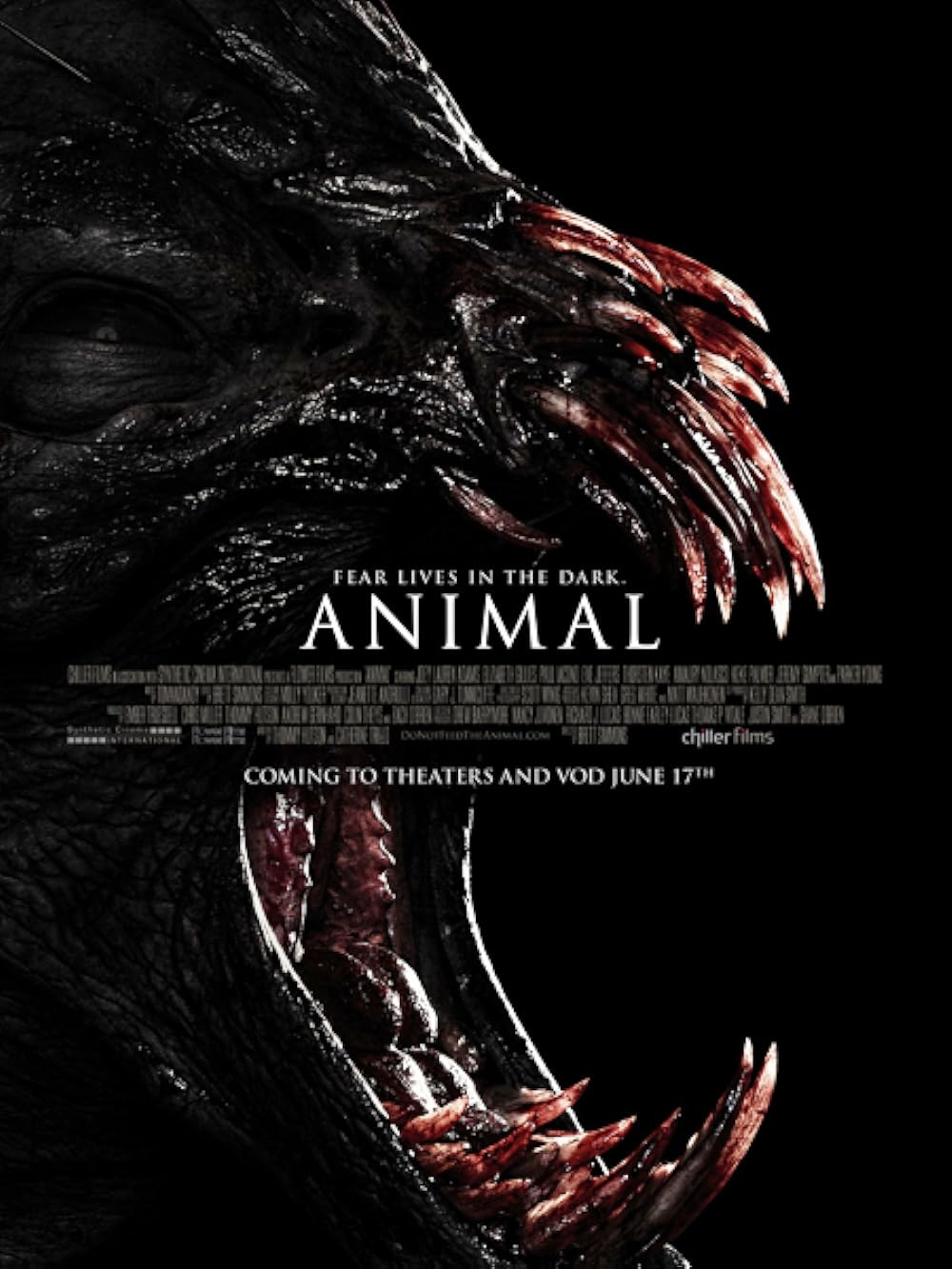 Animal Animal
