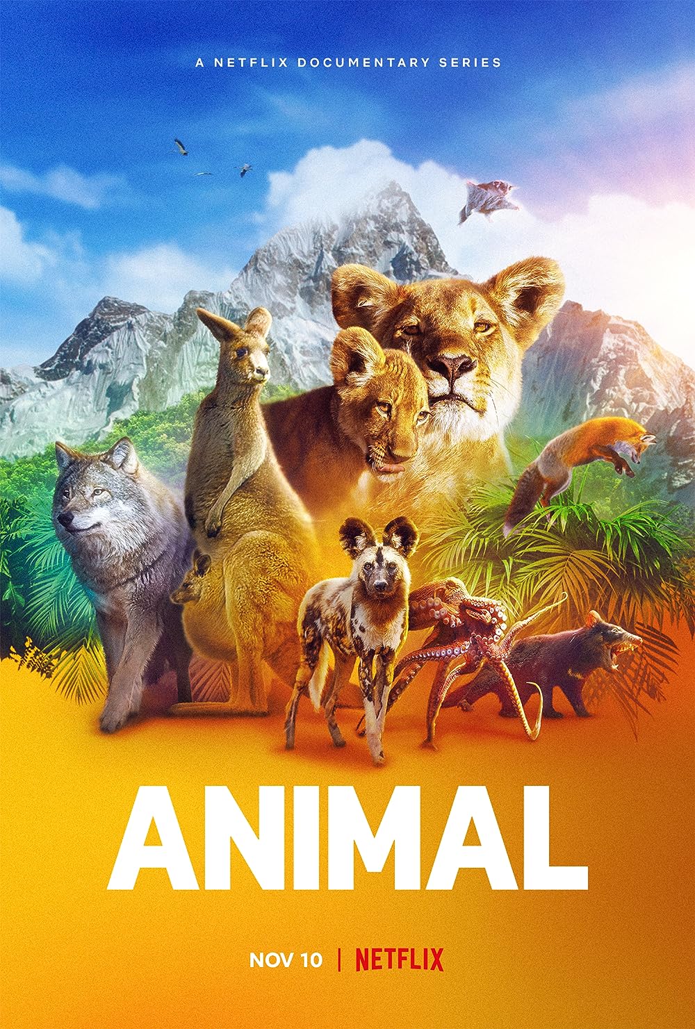 Animal Animal