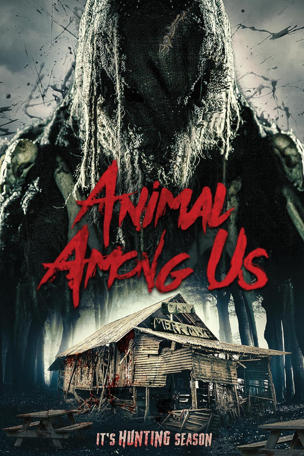 Animal Animal