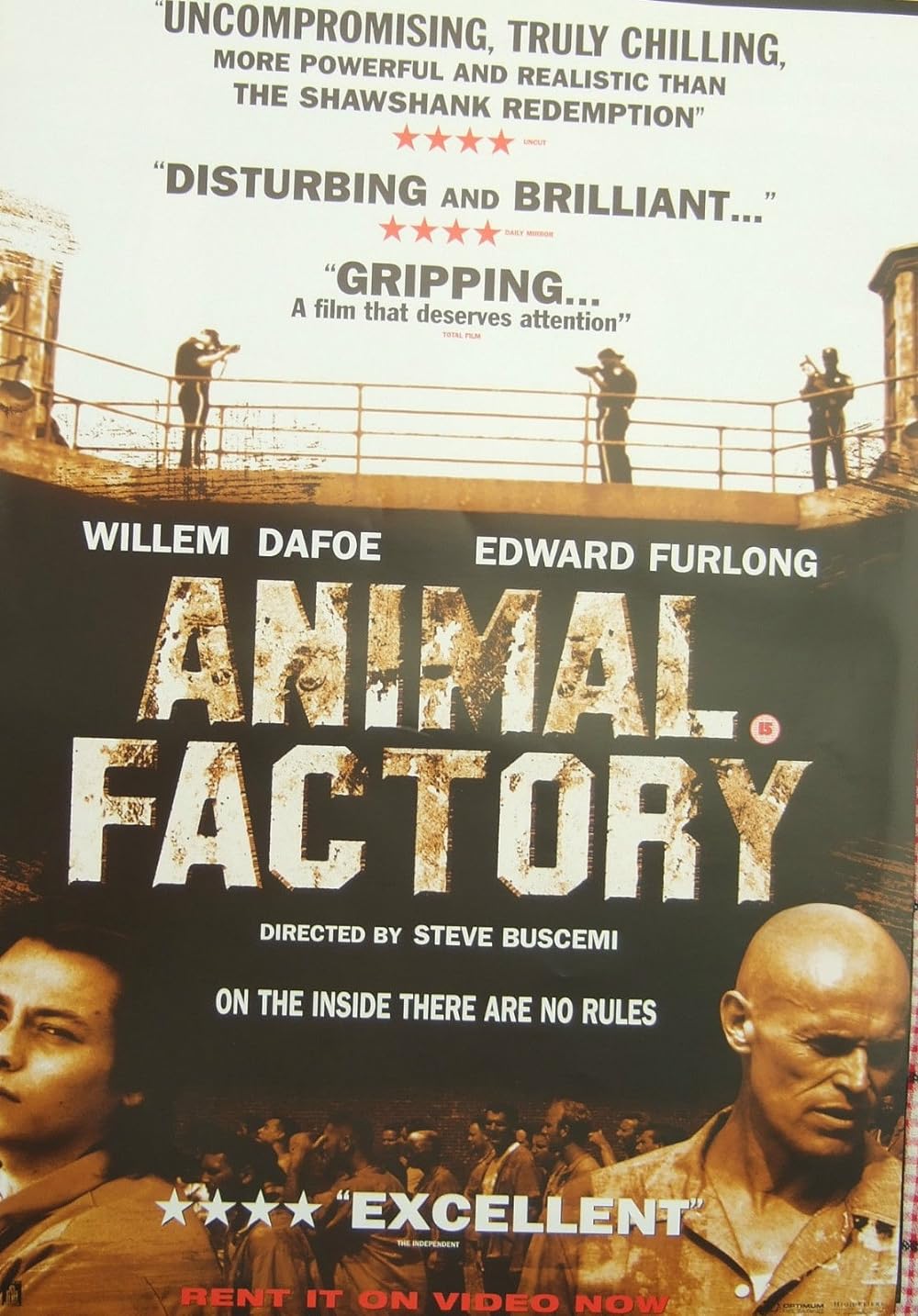 Animal Animal