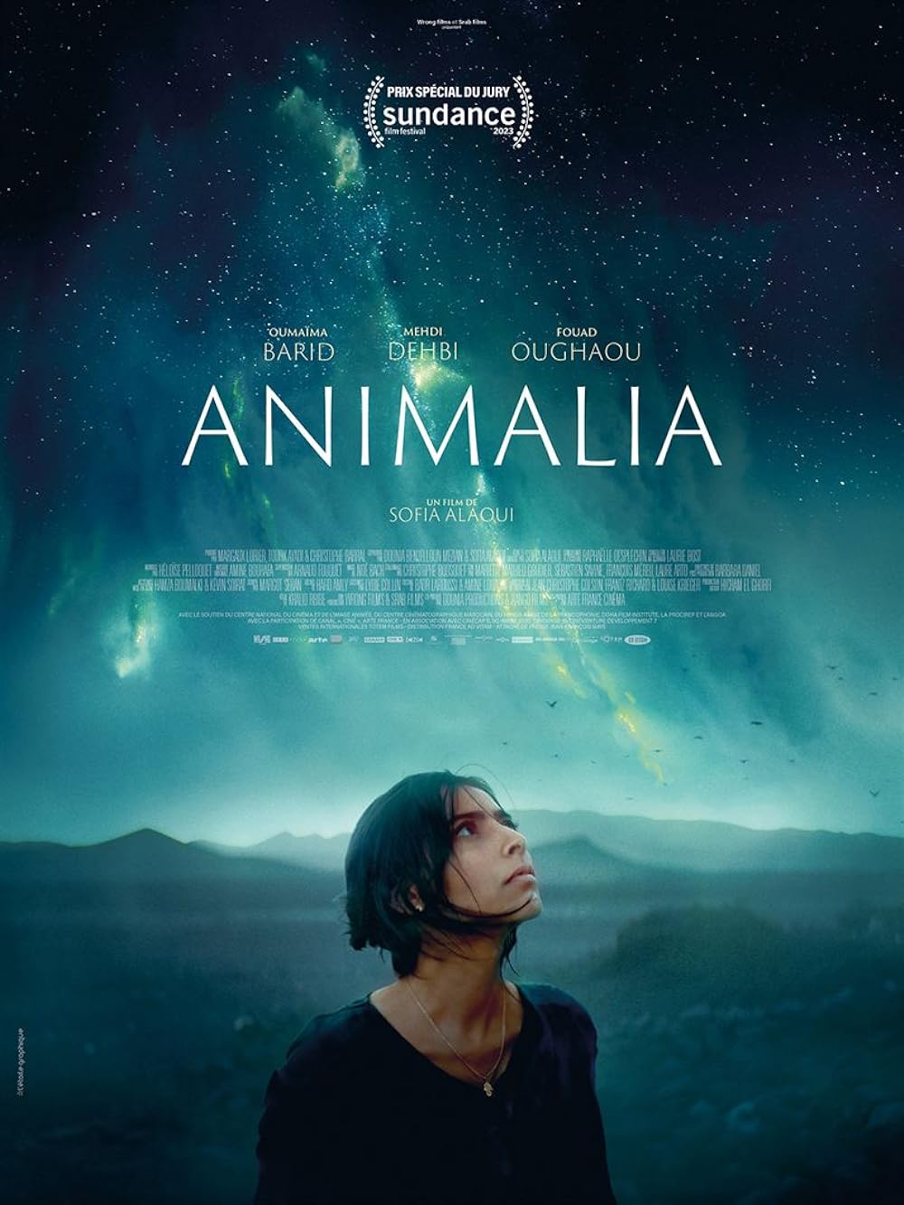 Animalia Animalia