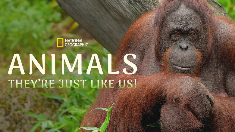 Animals, Animals,