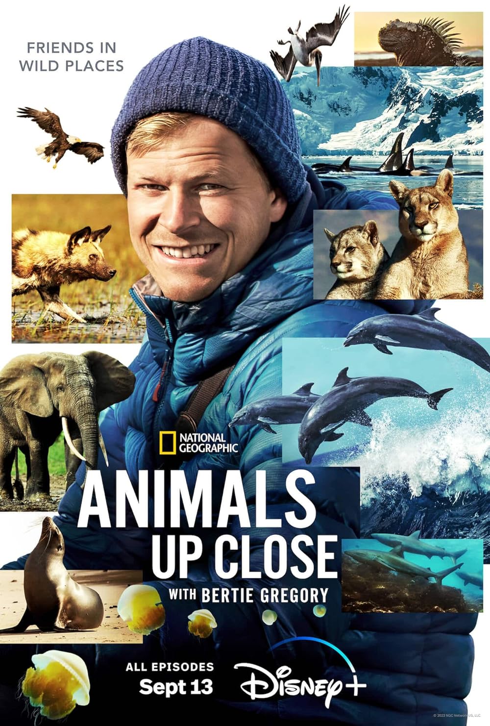 Animals Animals