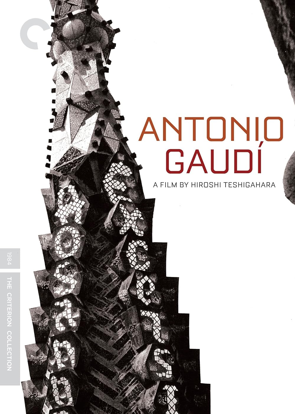 Antonio Antonio