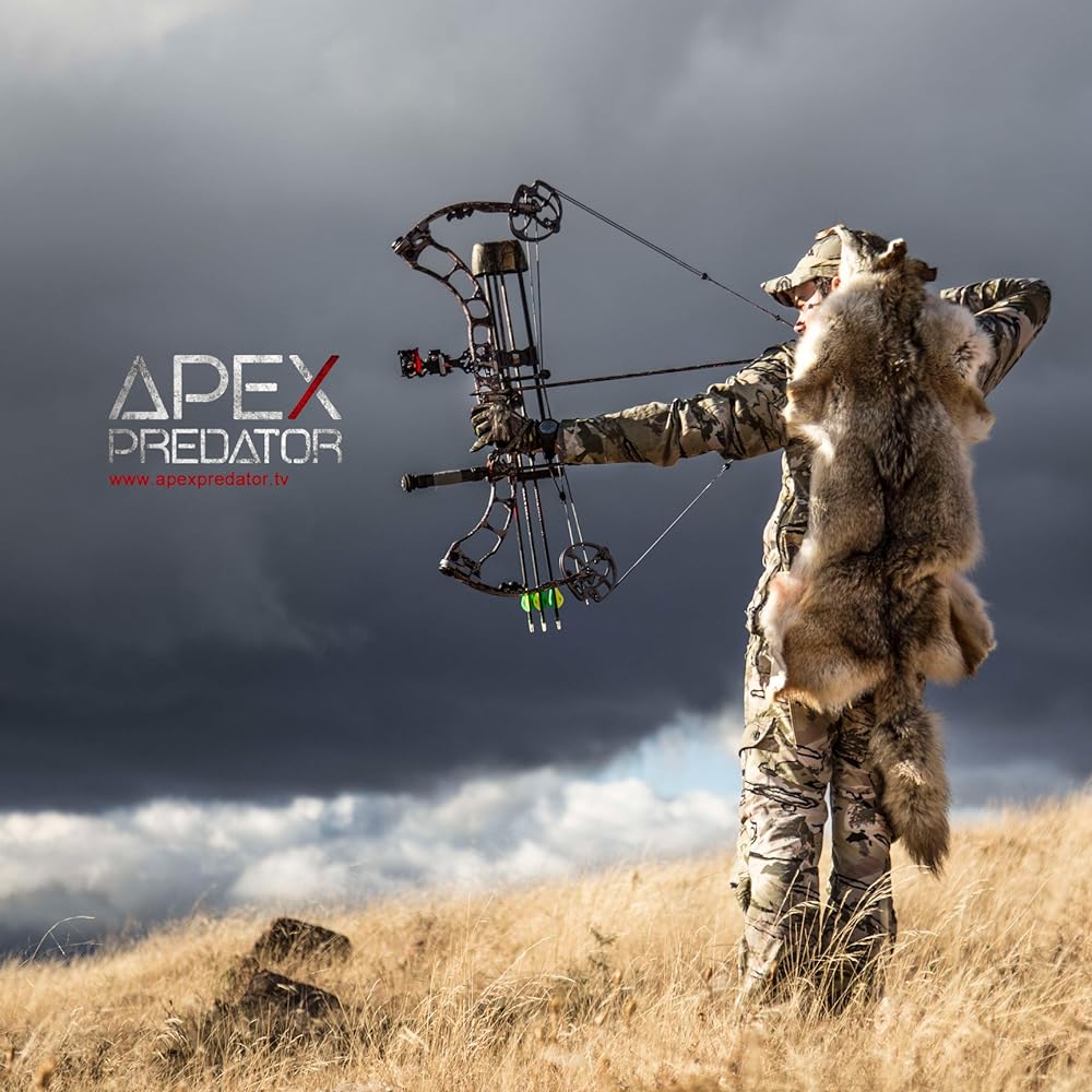 Apex Apex