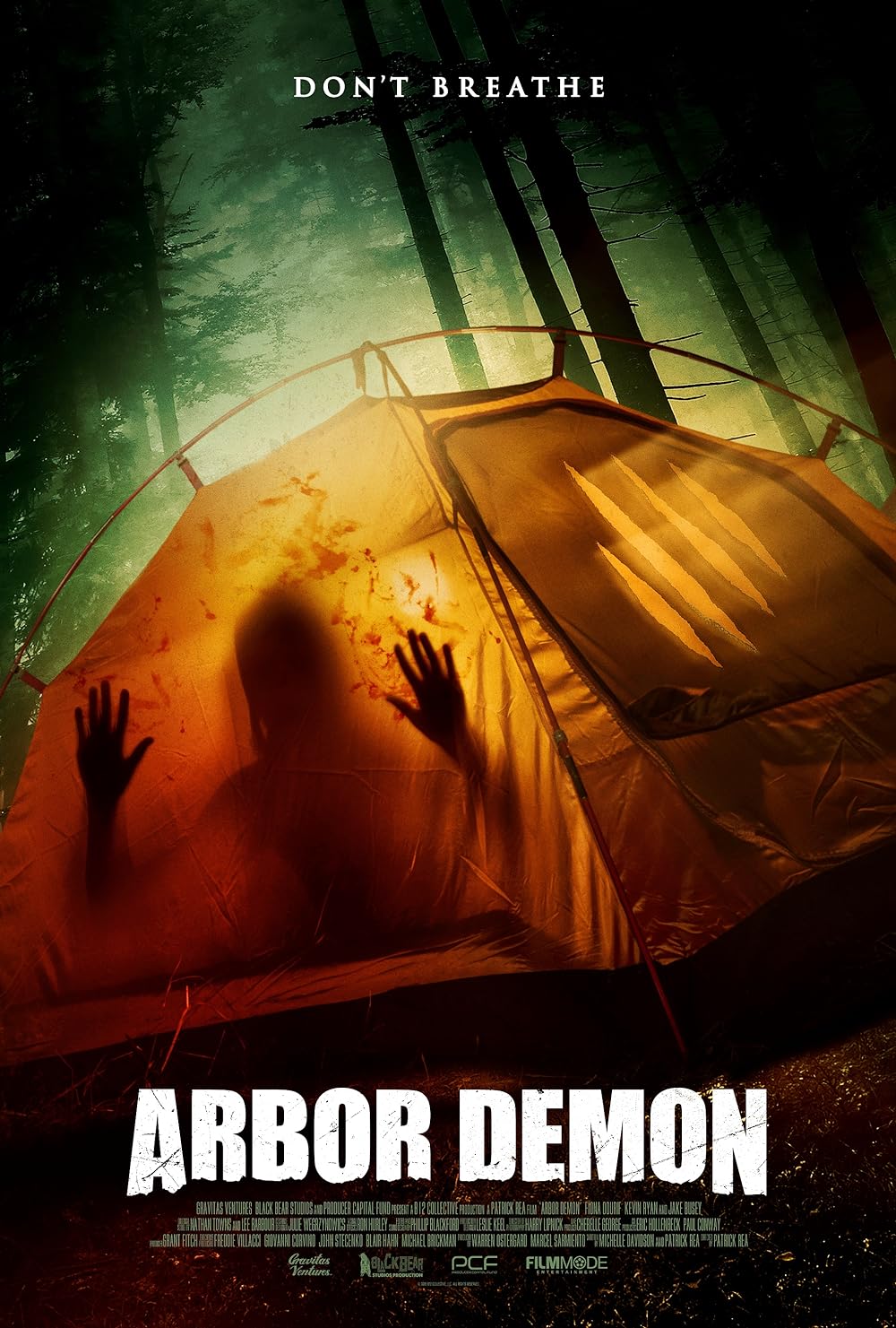Arbor Arbor