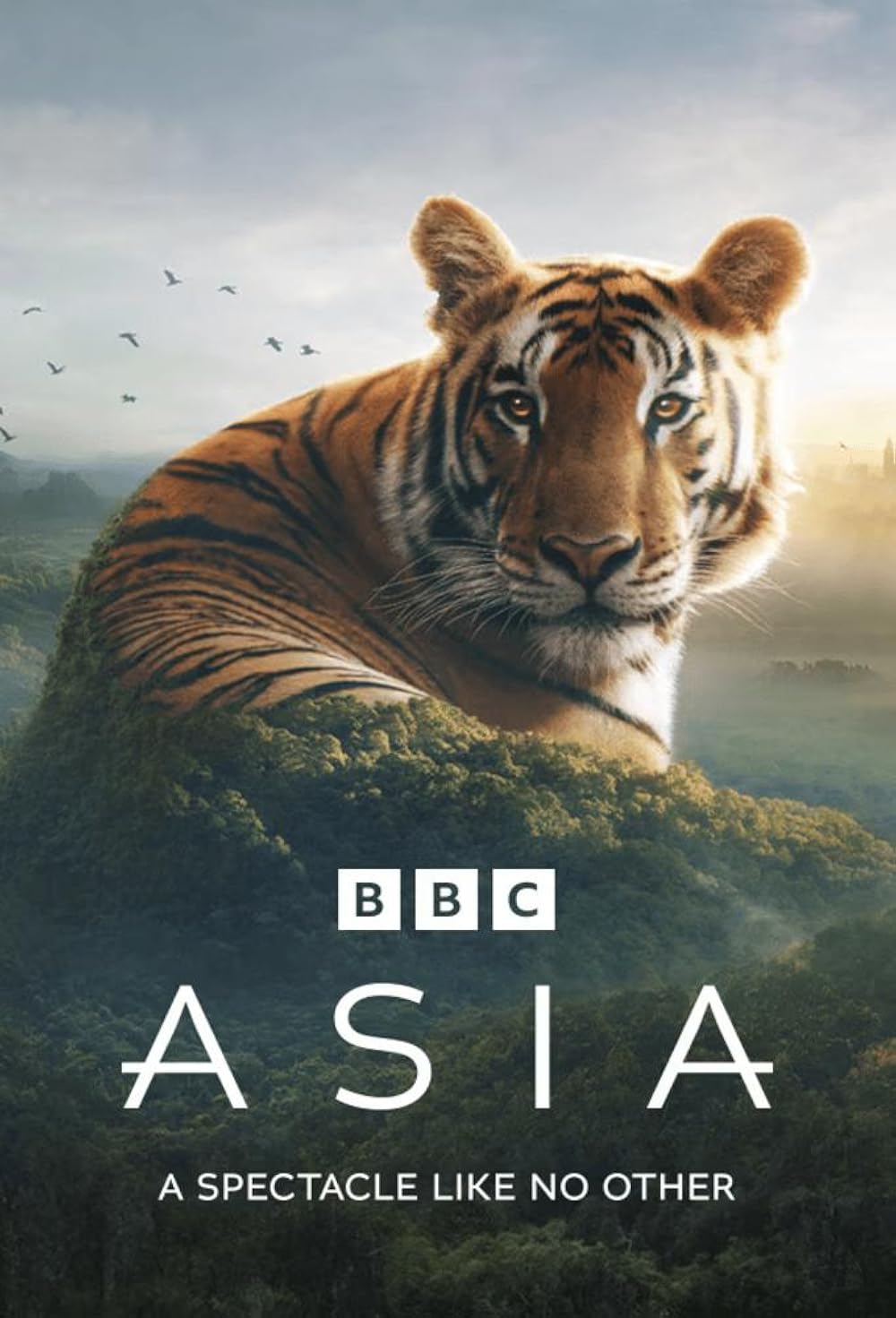 Asia Asia