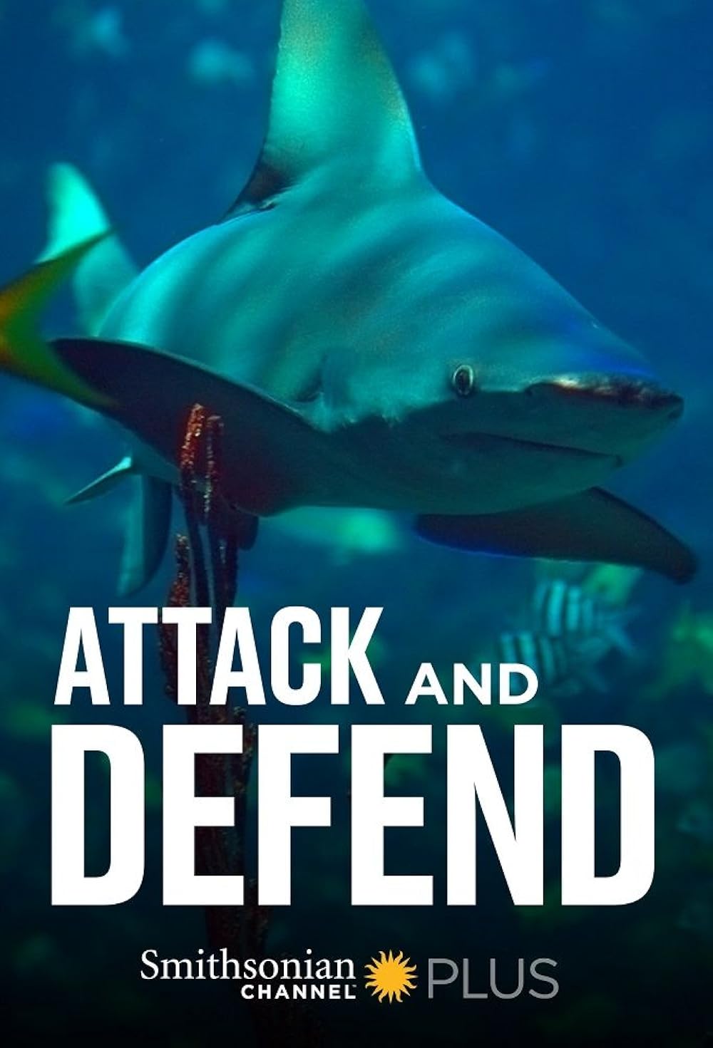 Attack Attack