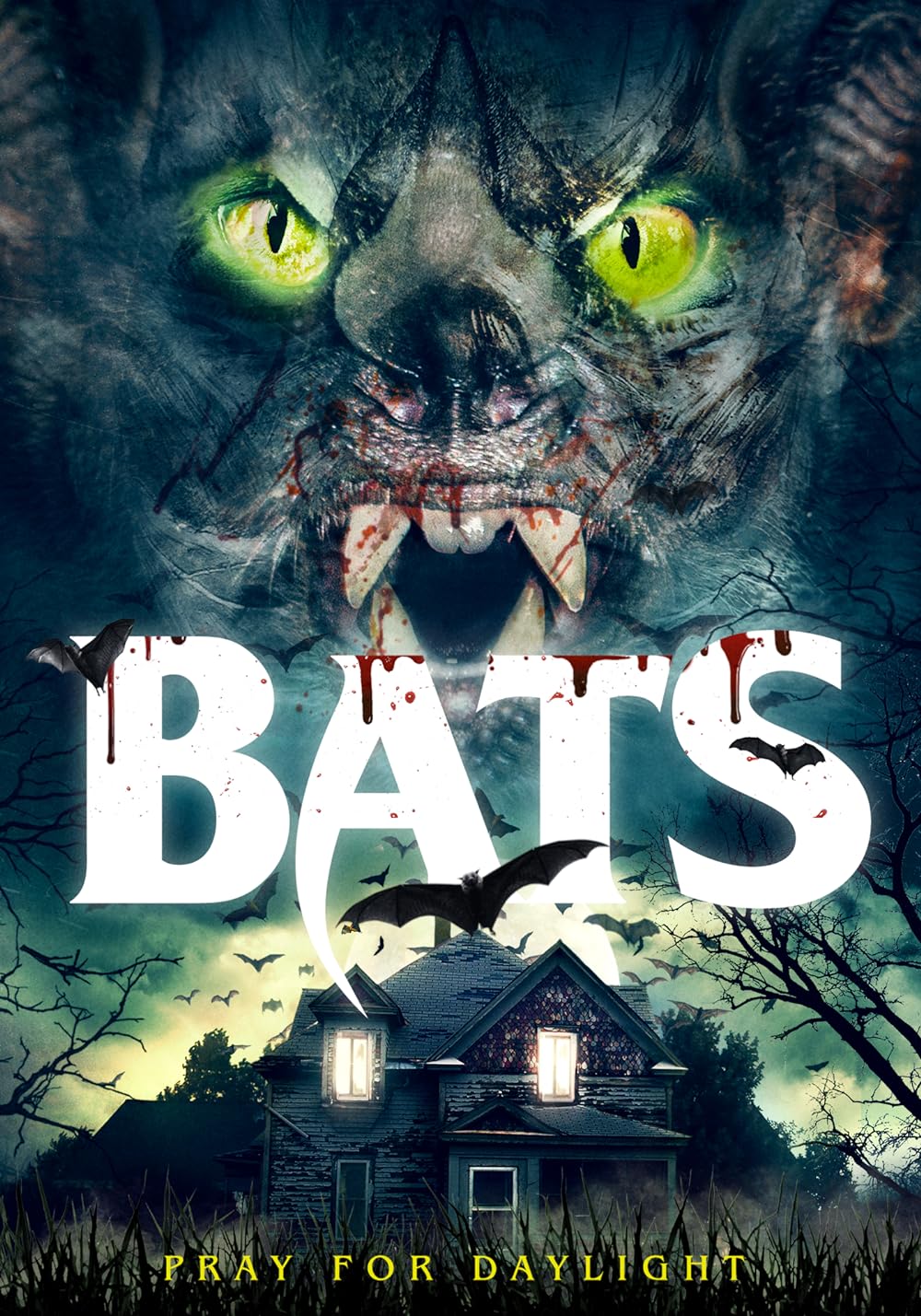 Bats Bats