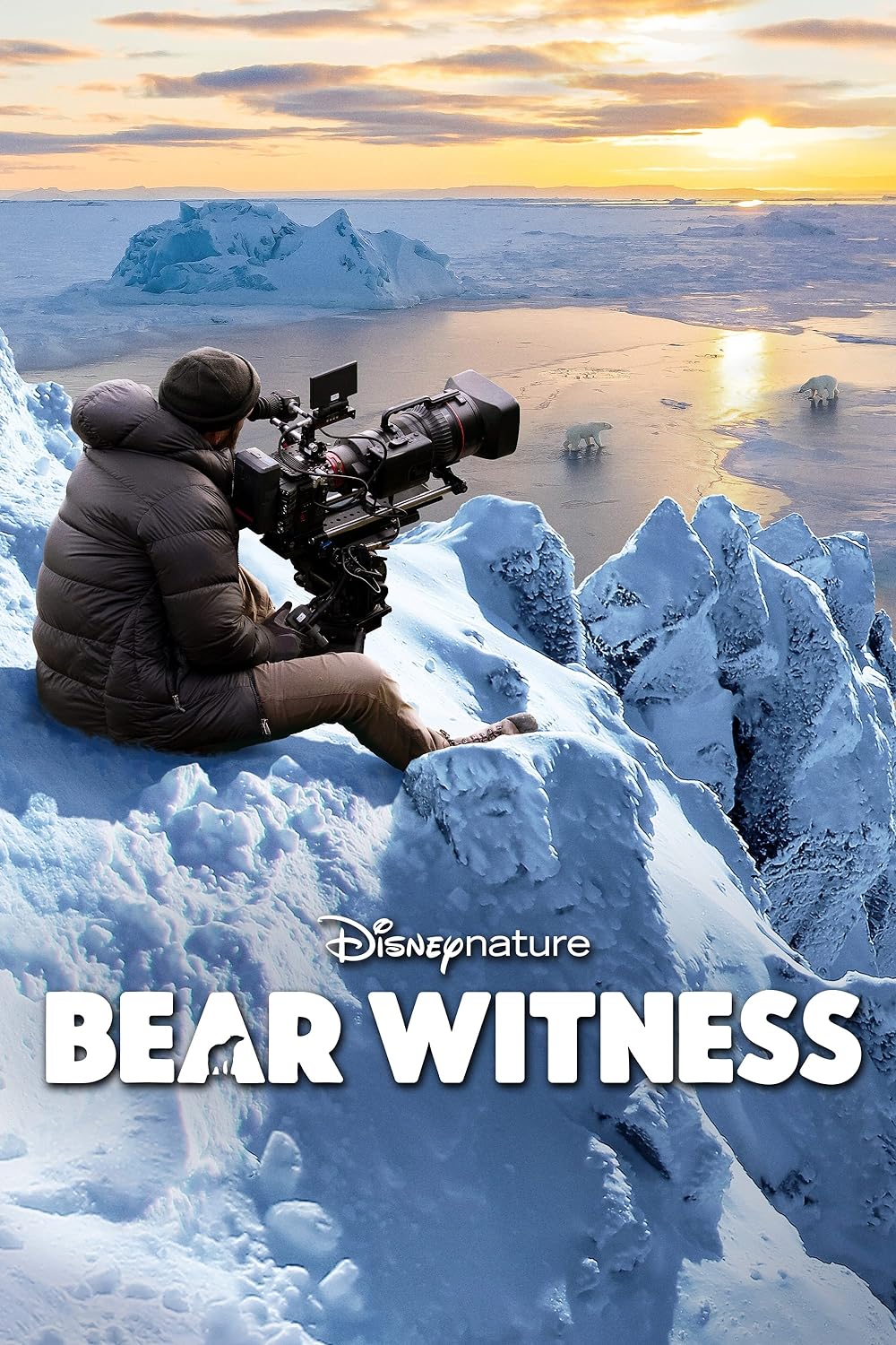 Bear Bear