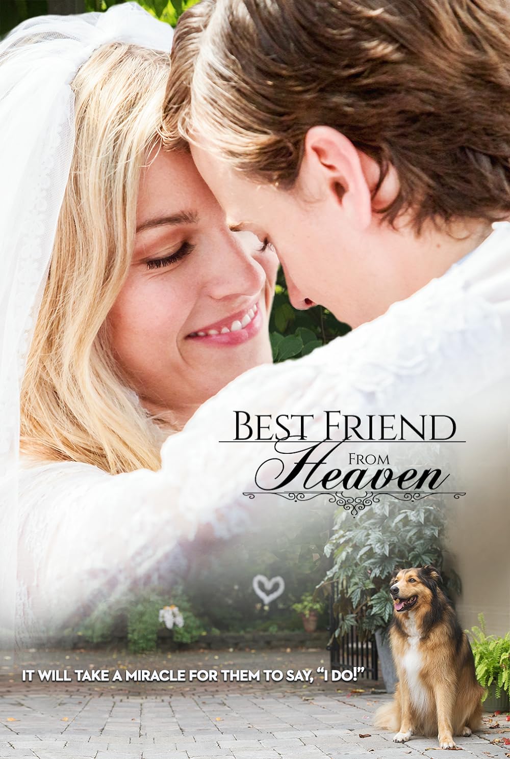 Best Best