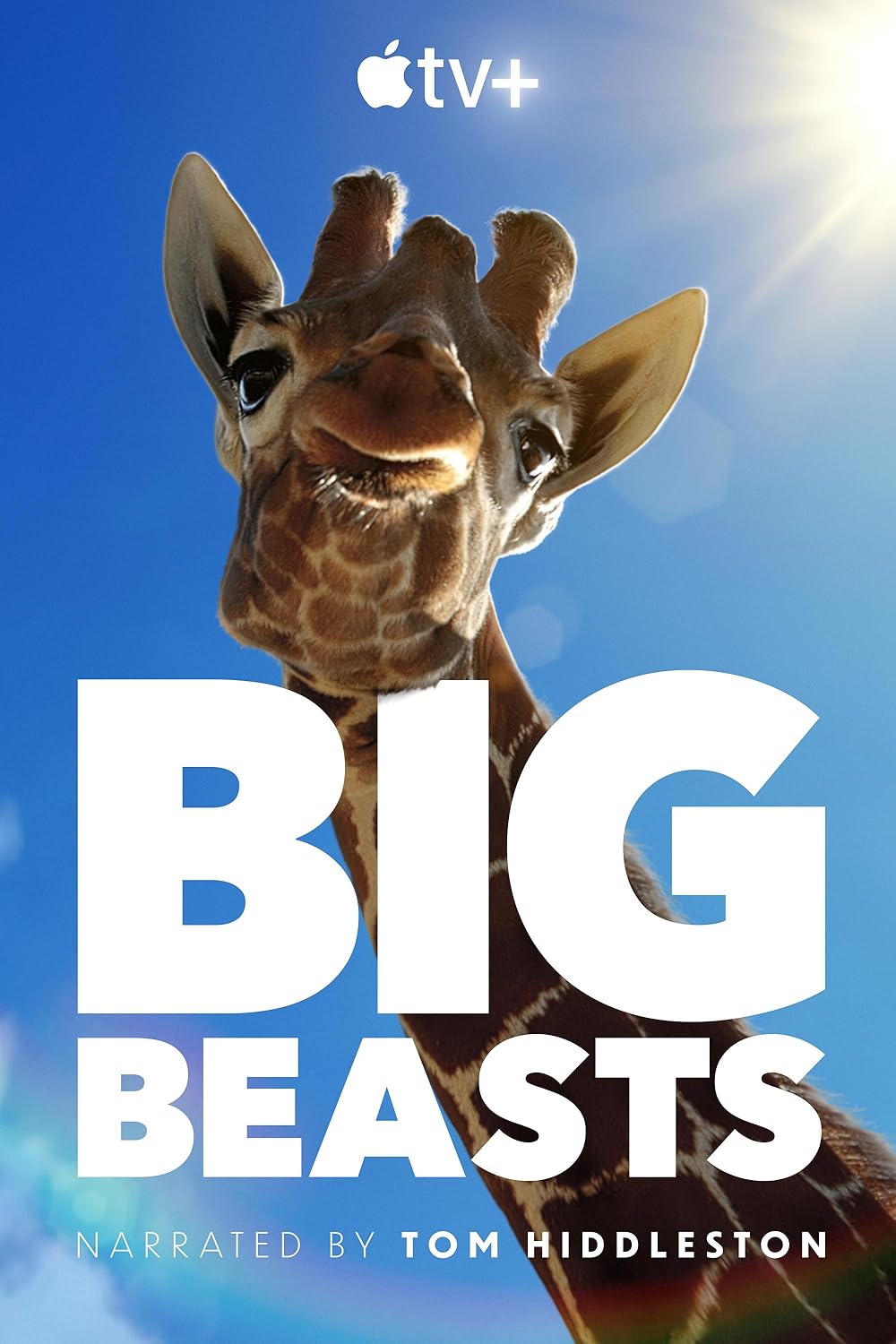 Big Big