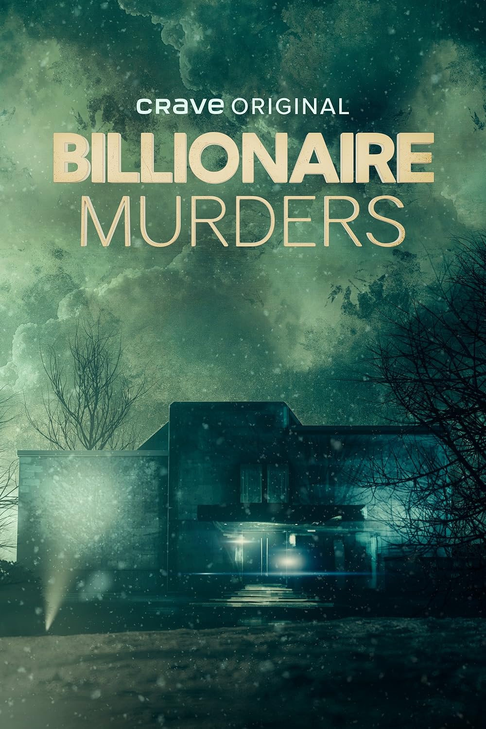 Billionaire Billionaire