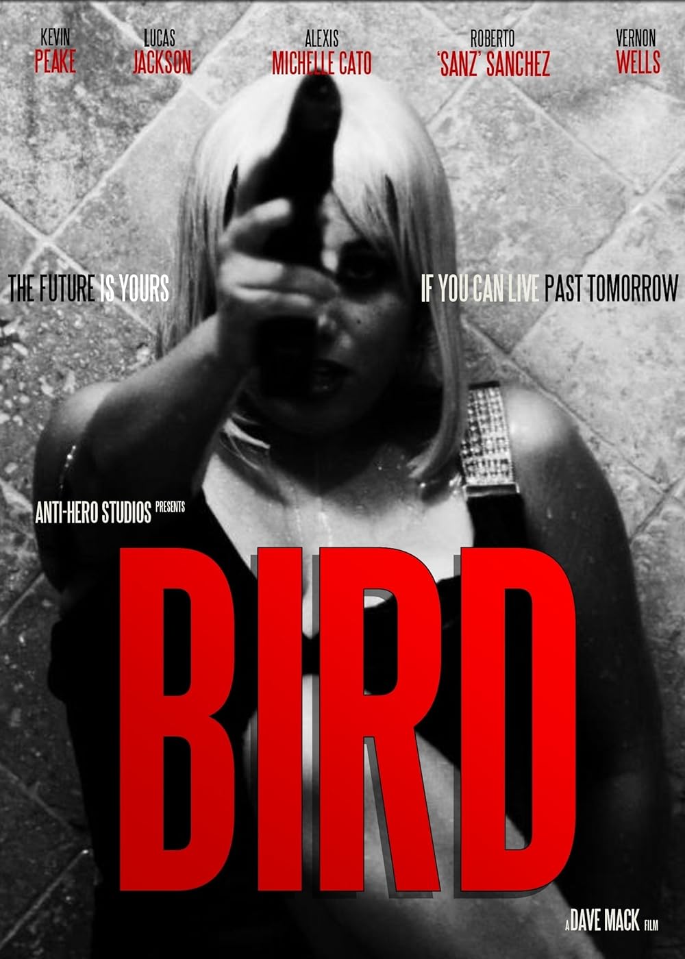 Bird Bird