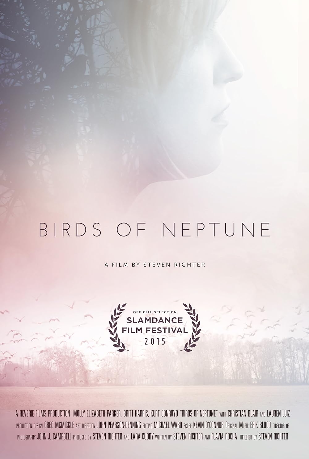 Birds Birds