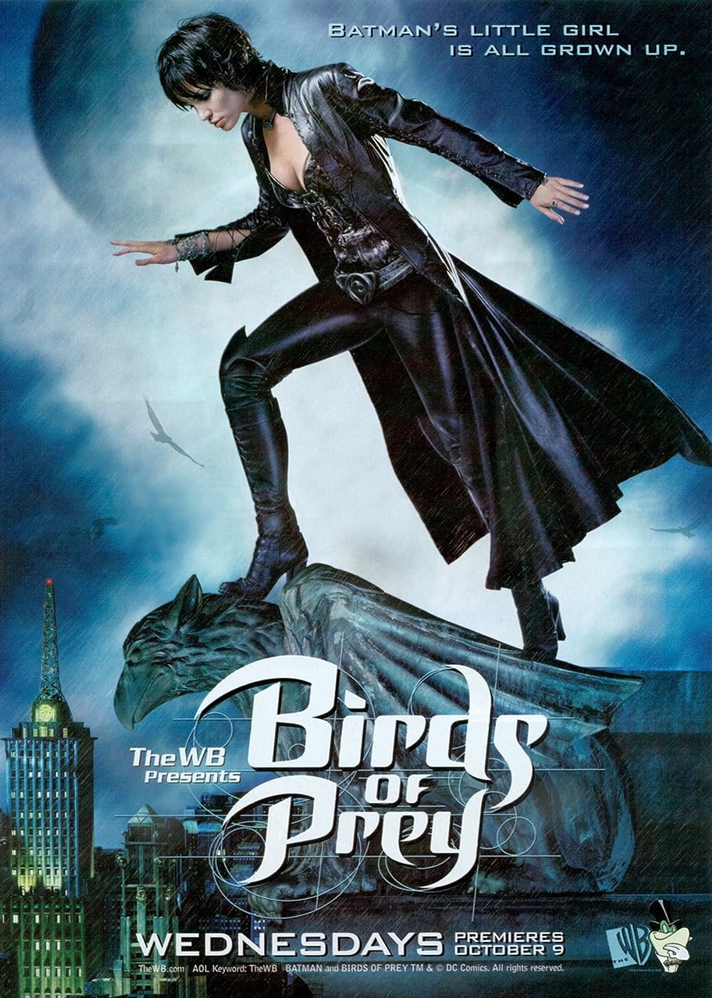 Birds Birds