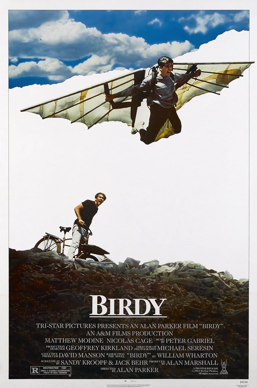 Birdy Birdy