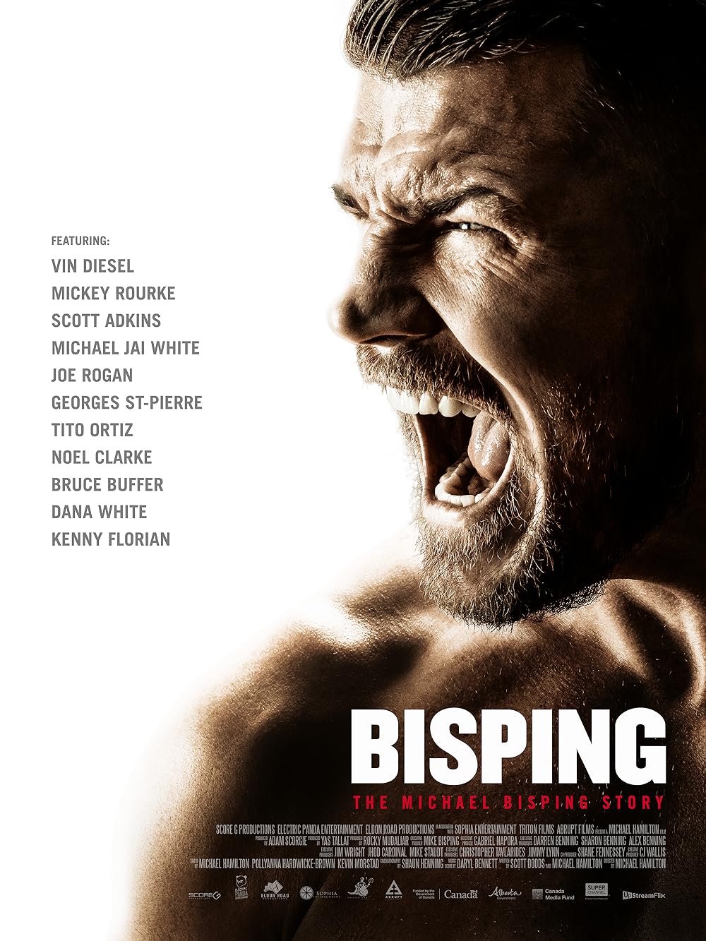 Bisping Bisping