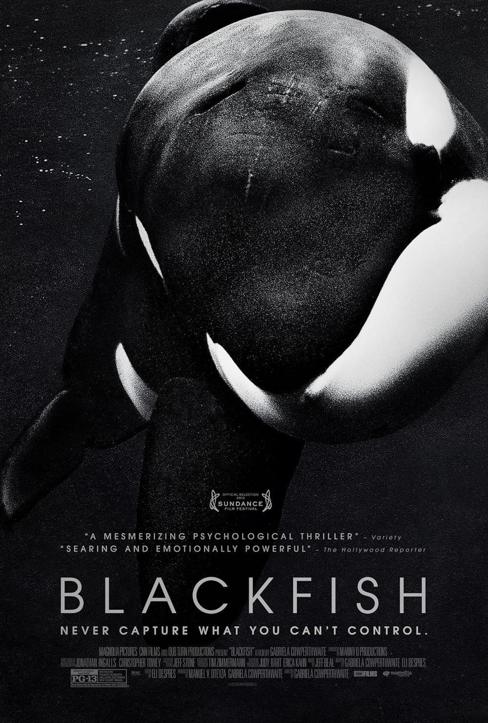 Blackfish Blackfish