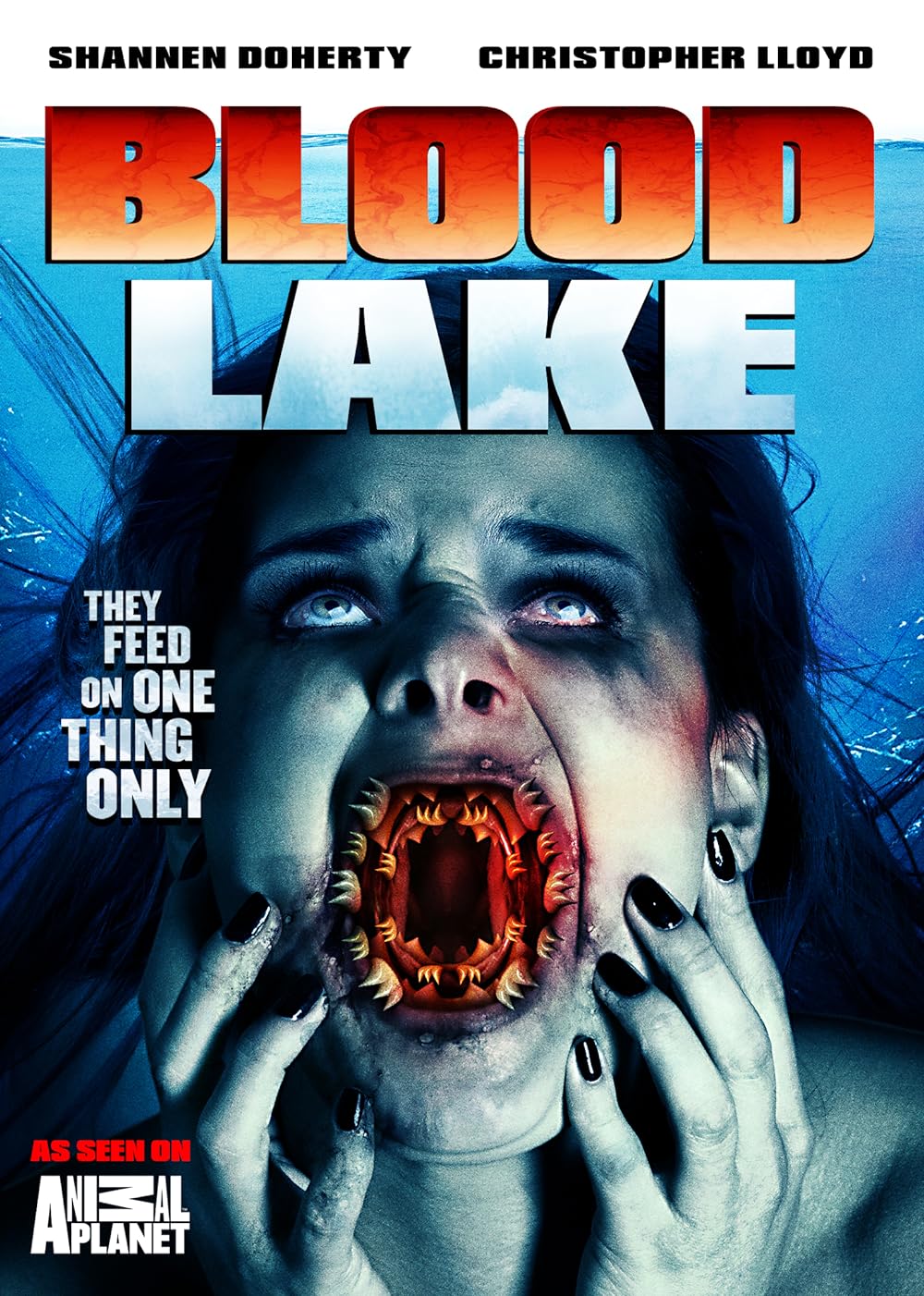 Blood Blood