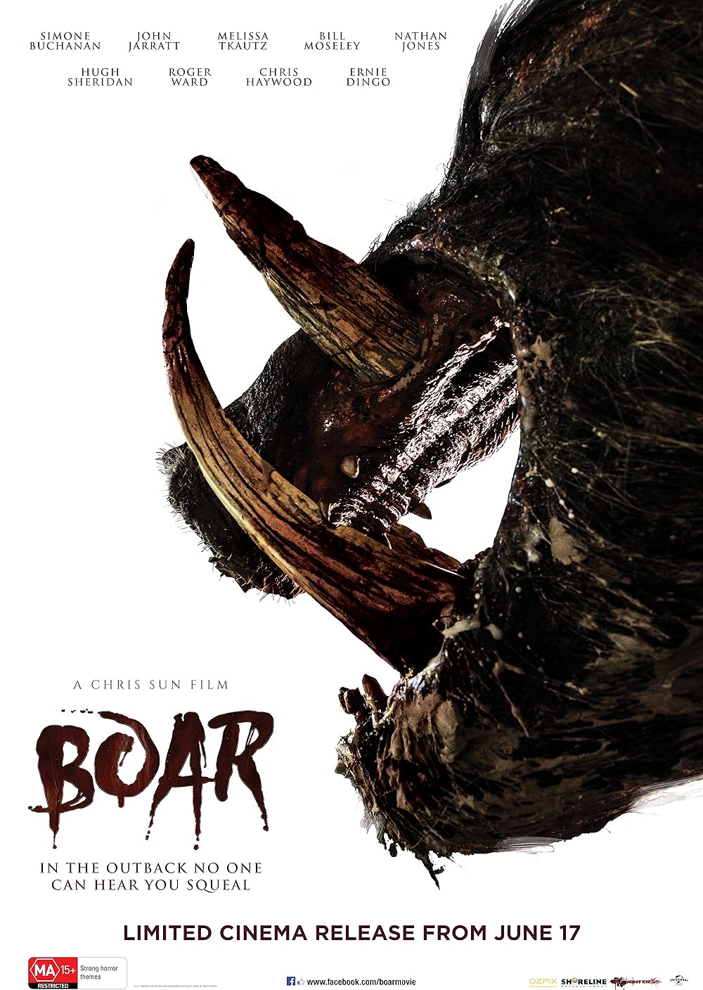 Boar Boar