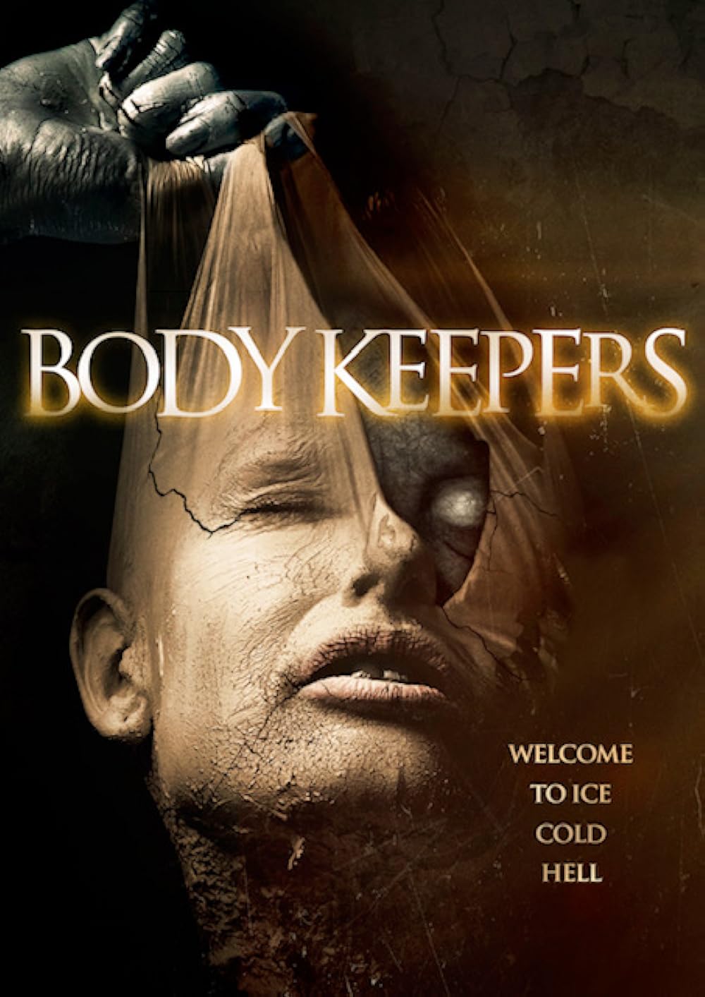 Body Body