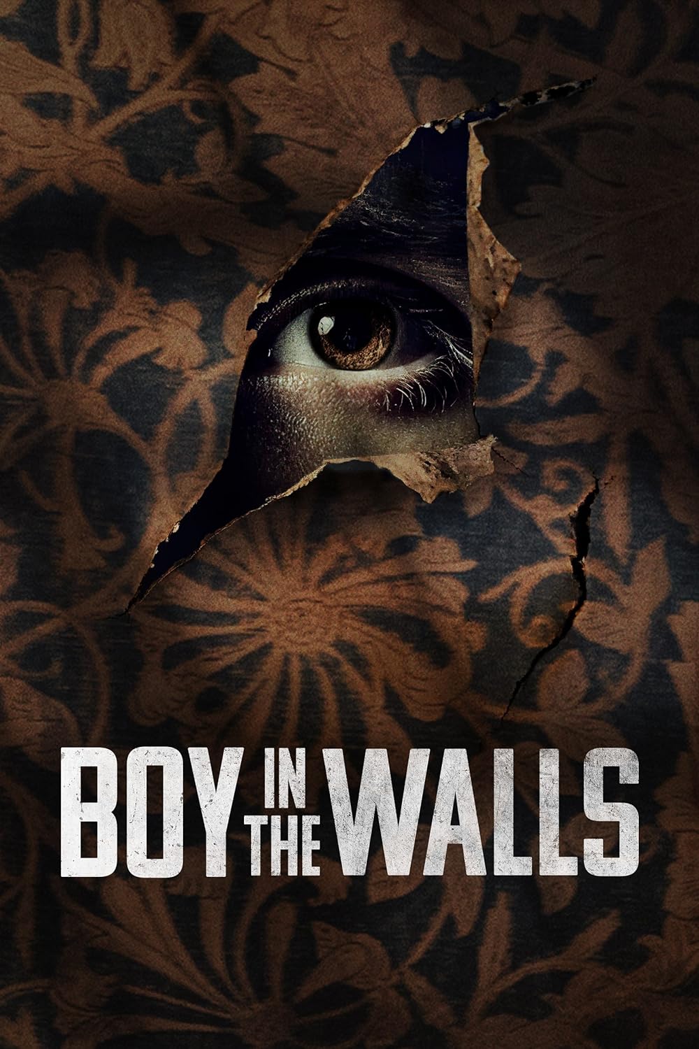 Boy Boy