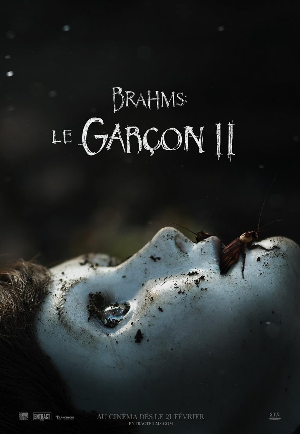 Brahms: Brahms:
