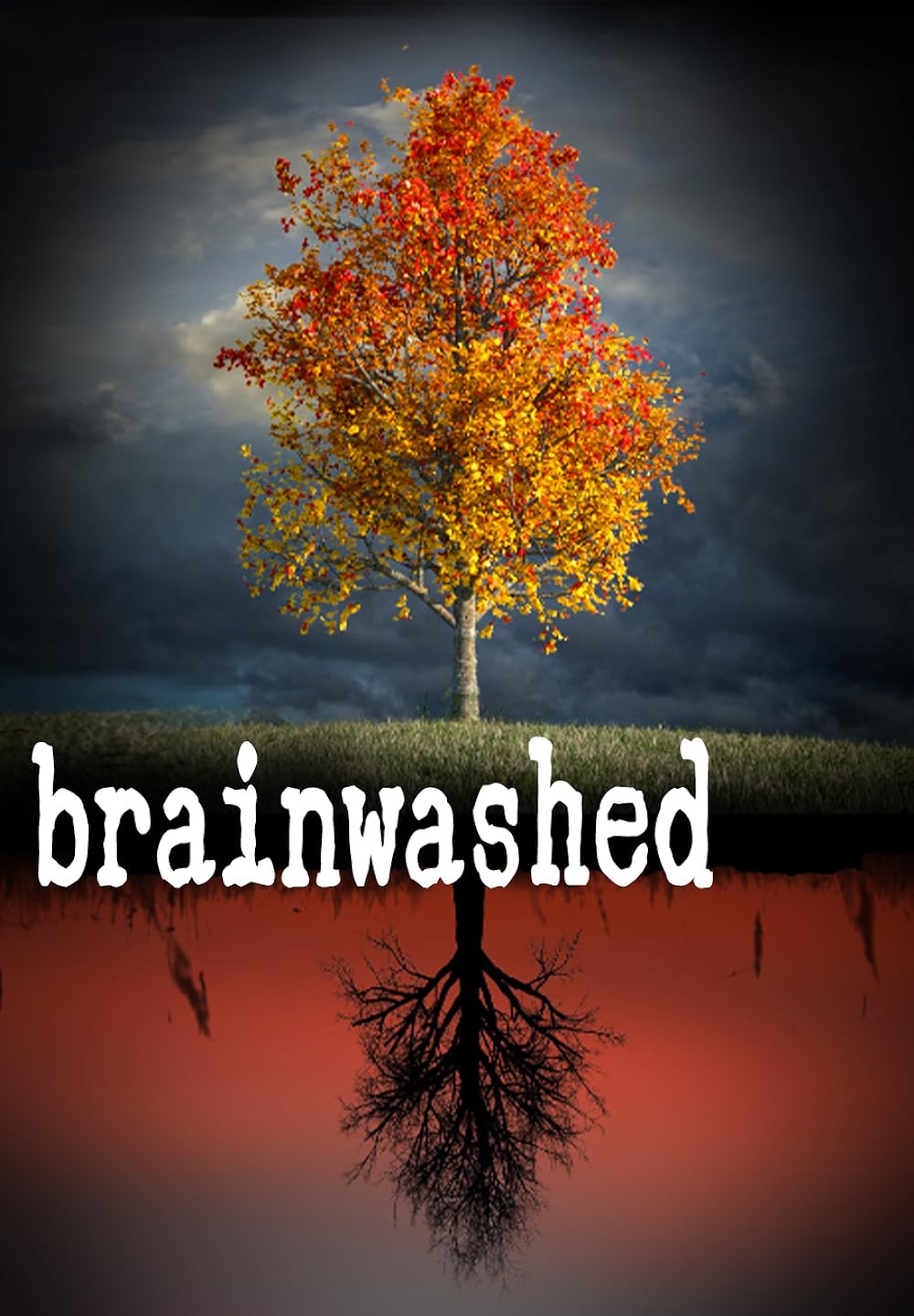 Brainwashed Brainwashed