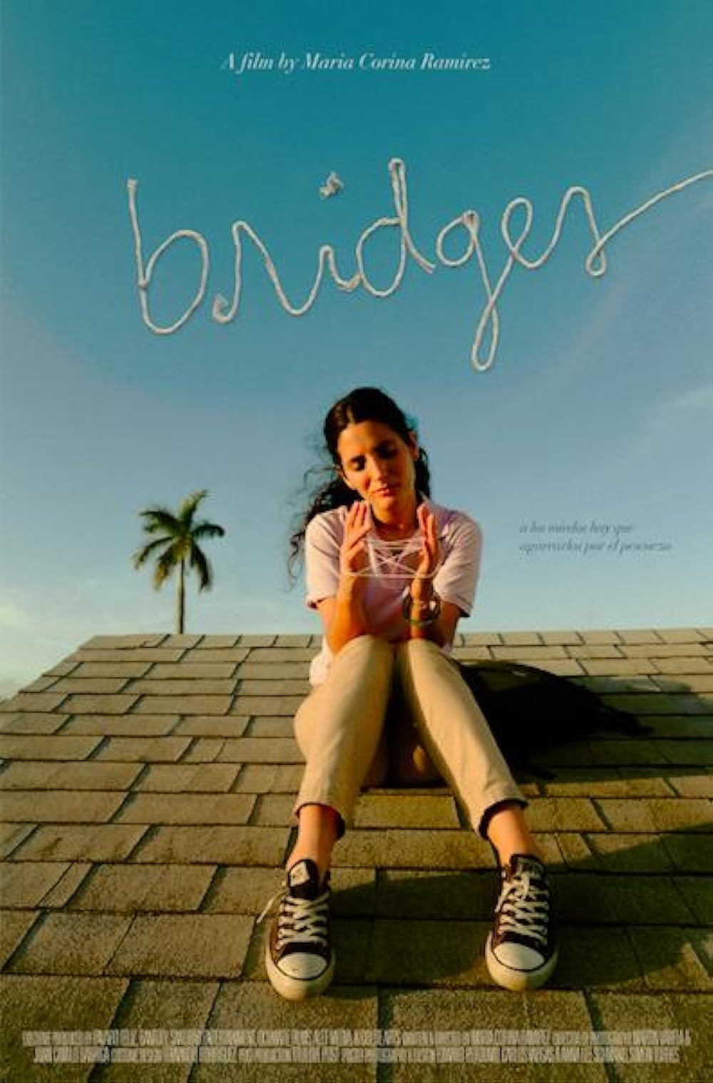 Bridges Bridges