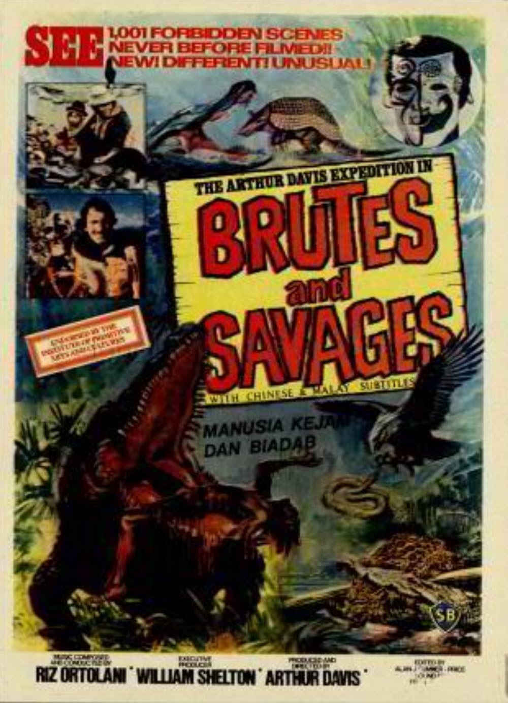 Brutes Brutes