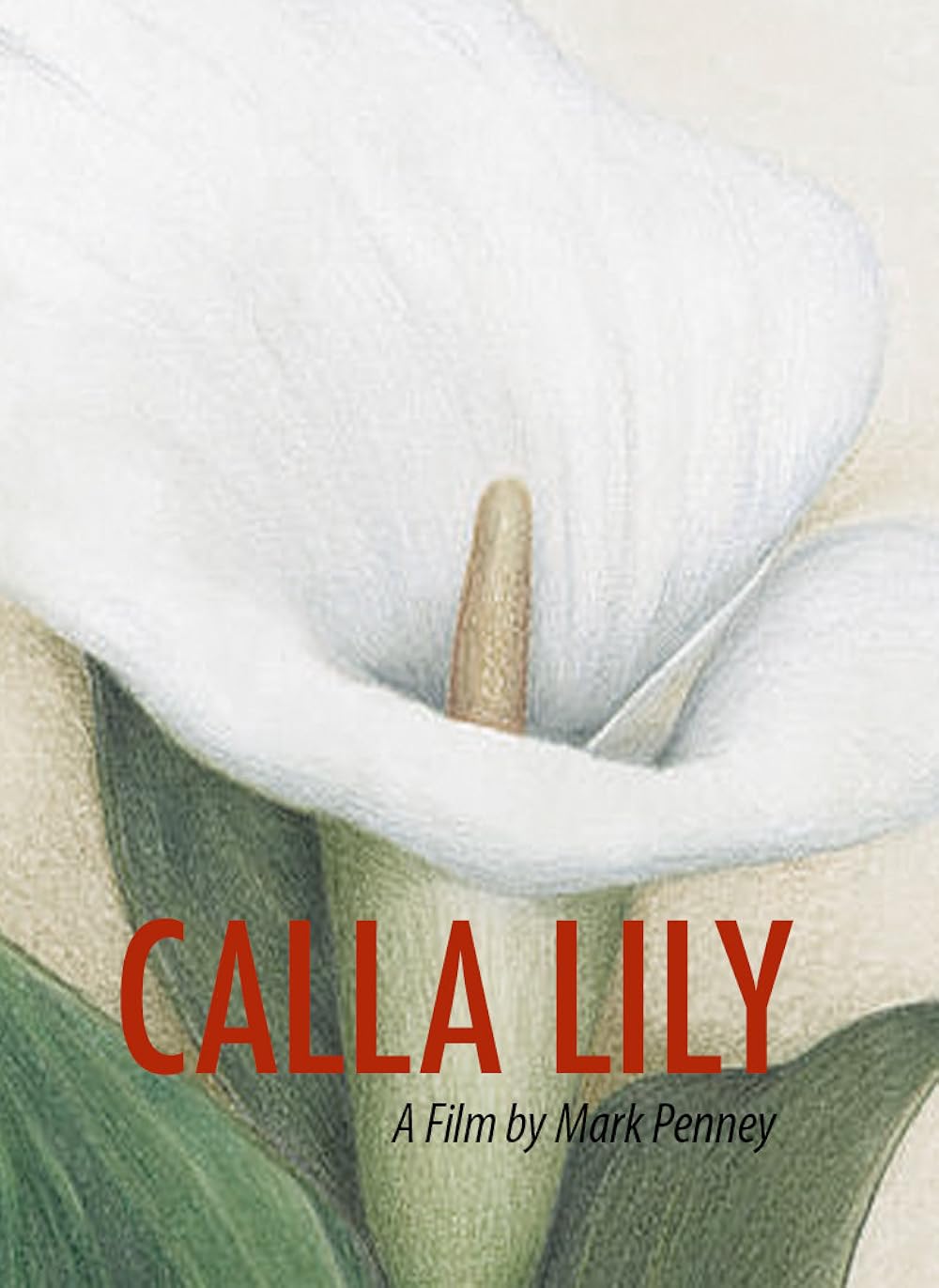 Calla Calla