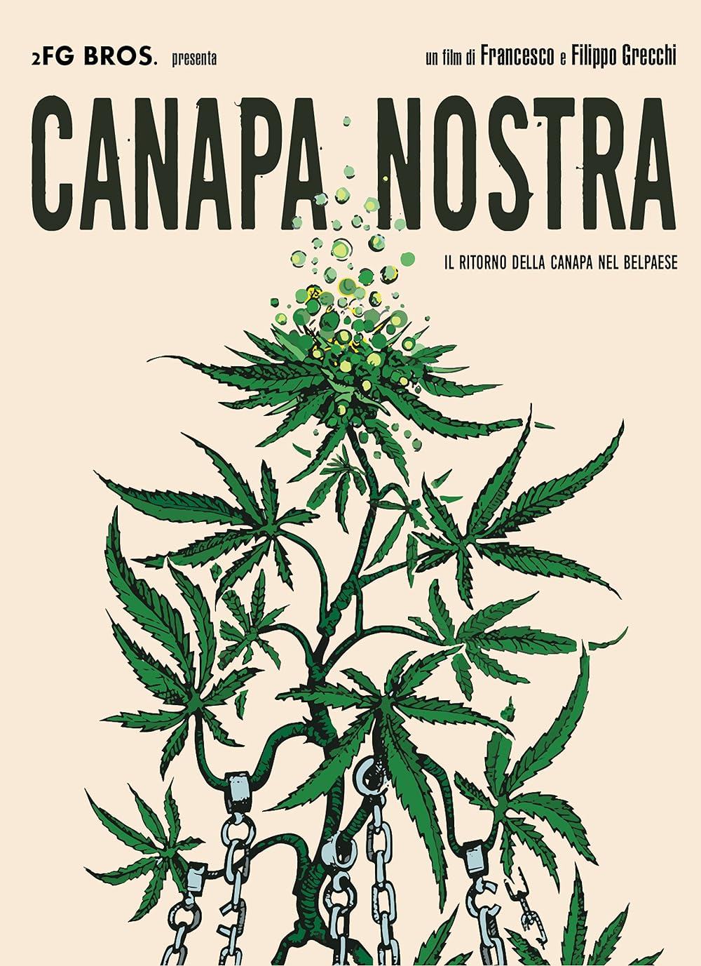 Canapa Canapa